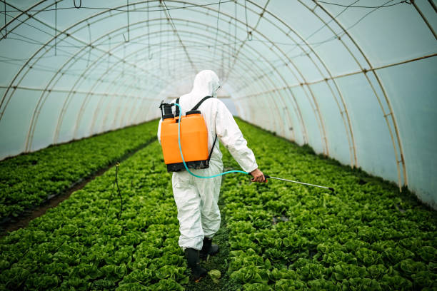 Best Best Pest Control Companies  in Windy Hills, KY