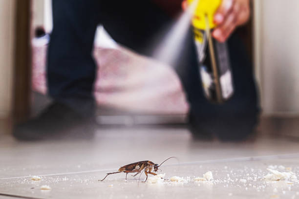 Best Residential Pest Control  in Windy Hills, KY